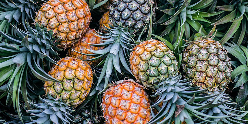 Honigwein Ananas - Fruchtmet mit Ananaswein