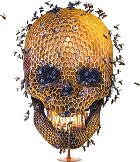 skull