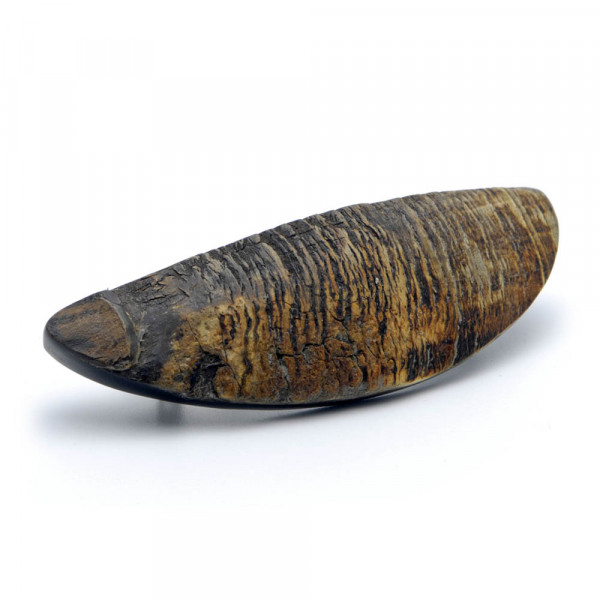 Haarspange - echtes Horn, oval, naturfarben - Normclip, 8 cm - Vorschau