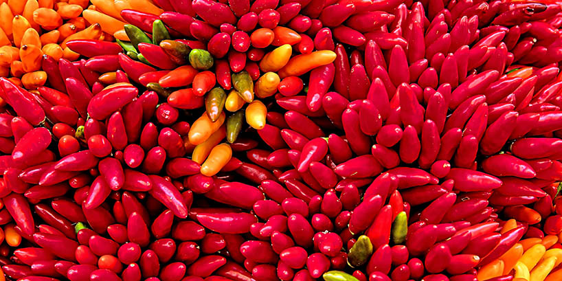 Honigwein Chilli - Gewürzmet mit Chilli