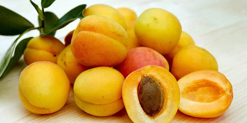 Honigwein Aprikose - Fruchtmet mit Aprikosen